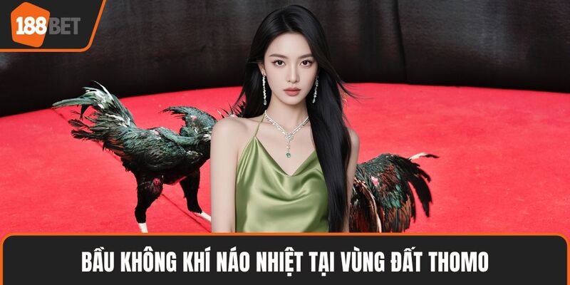 Thomo Campuchia – Trải Nghiệm Độc Đáo Đầy Cuốn Hút 3 Bầu không khí náo nhiệt tại vùng đất Thomo