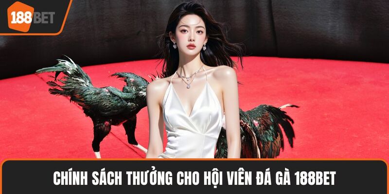 Chính sách thưởng cho hội viên đá gà 188BET