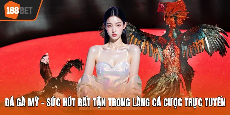 Đá gà Mỹ