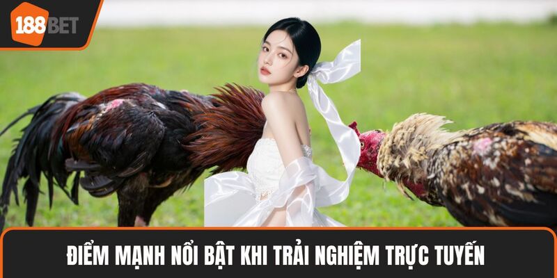 Trực Tiếp Gà Chọi – Sân Chơi Kịch Tính Cho Người Đam Mê 3 Điểm mạnh nổi bật khi trải nghiệm trực tuyến
