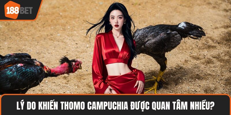 Thomo Campuchia – Trải Nghiệm Độc Đáo Đầy Cuốn Hút 4 Lý do khiến Thomo Campuchia được quan tâm nhiều?