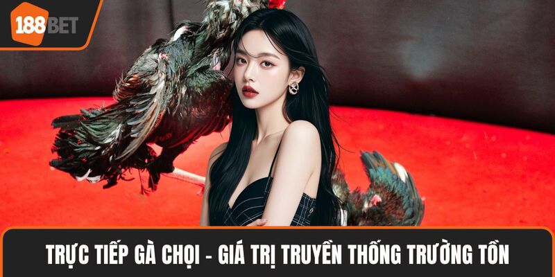 Trực Tiếp Gà Chọi – Sân Chơi Kịch Tính Cho Người Đam Mê 2 Trực tiếp gà chọi - giá trị truyền thống trường tồn